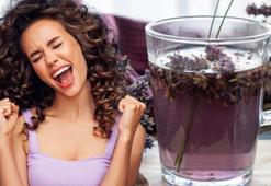 Kepeği kökten yok edip, saç derisini temizliyor! En güçlü mikrop öldürücü: Mantar, kaşıntı ne varsa kökünü kazıyor