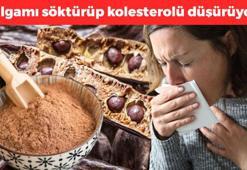 Dünyanın en zengin kalsiyum kaynağı oymuş: Kaşık kaşık yiyin! Kilosu 185 TL, balgamı söktürüp kolesterolü düşürüyor!