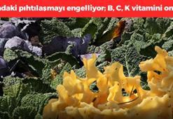 Vücudun benzini oymuş! İlaç gibi sebze: Kanda pıhtılaşmayı ve sulanmayı önlüyor; B6 C, K vitamini ve folik asit zengini!