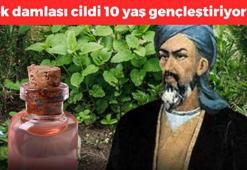 İbn-i Sina asırlar önce önerdi: Cildi ay gibi parlatıyor! 1 damlası 10 yaş gençleştiriyor! Mermer gibi cildin sırrı ondaymış
