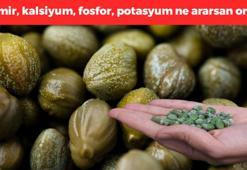 Demir, kalsiyum, fosfor, potasyum ne ararsan onda! Akdeniz'in göz bebeği: Bağışıklığı çelik gibi yapıp cayır cayır kilo verdiriyor!