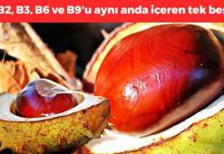 B1, B2, B3, B6 ve B9'u aynı anda içeren tek besin! Kilosu 350 TL'den kapış kapış satılıyor! Bağırsakları motor gibi çalıştırıp kolesterole son veriyor
