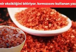 Normali böbrekleri bitiriyor ama o renktekini kullanınca faydası say say bitmiyor! Demir, sodyum, kalsiyum ve fosfor zengini, kilosu 120 TL!