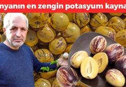 Akdeniz'den yayılan mucize! Kilosu 85 TL: Kabızlığı tarihe gömüyor, dünyanın en zengin potasyum kaynağıymış