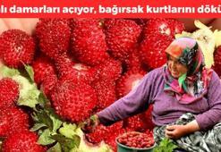 Sinop'tan tüm ülkeye yayılıyor: Tıkalı damarları anında açıyor! Günde 4-5 kez yiyince kanserden koruyor, bağırsak kurtlarını döküyor