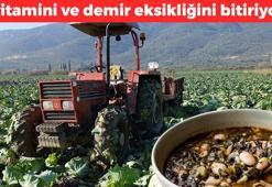 Karadenizliler haklıymış: D vitamini depolarını fulleyip demir eksikliğine son veriyor! Uzmanlar ona 'süper besin' diyor! Yiyen 100 yaşını görüyor