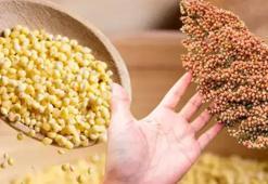 Magnezyum, antioksidan ve mineral zengini! Yemeklerin şampiyonuymuş: Faydasını duyan paket paket alıyor