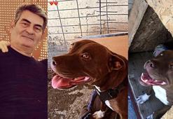 Şila'yı kulübesinde yakarak öldüren sanığın cezası istinafta arttı