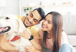 Mutluluğun yolu köpek dilinde