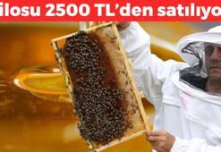 Rize'den dünyaya kilo kilo satılıyor! Dünyanın en doğal besini: Kilosu 2500 TL! Kanı temizleyip şekeri anında dengeliyor!