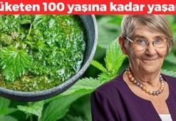 Canan Karatay'ın favorisi: Kandaki zehri söküp atıyor, böbrekleri diyalizden kurtarıyor! Tüketen 100 yaşına kadar yaşar!