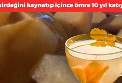 Çekirdeğini kaynatıp içen ömrüne 10 yıl katar! Faydaları say say bitmiyor: Bağırsağı besleyip kabızlığı bitiren oymuş!