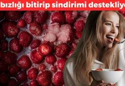 Hatay'da özel olarak yetiştirilmeye başlandı: Tarlada kilosu 100 TL'den satılıyor! Kabızlığı bitiriyor, kolajen yükleyip kanserden koruyor! Parıl parıl cildin sırrı da ondaymış