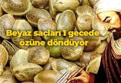 Boya değil bitkisel yağ! Beyaz saçları 1 gecede özüne döndüren İbn-i Sina önerisi