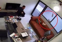 Ofis tavanından düşen yavru kedileri ceketiyle korumak istedi: O anlar kamerada