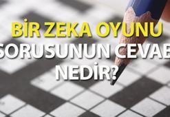 Bir zeka oyunu bulmaca cevabı nedir? 4 harfli bir zeka oyunu soru cevabı