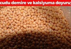 Yeni sağlıklı beslenme trendi: Yoğurtla kaşık kaşık tüketin! Vücudu demire ve kalsiyuma doyuruyor, aktarlarda yok satıyor