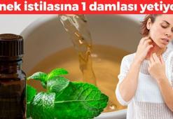 Her evde var, sinek istilasına karşı 1 damlası yetiyor! Mis gibi kokup kimyasallara son veriyor, meğer doğal sinek kovucu oymuş!