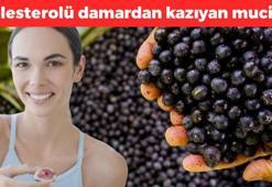Brezilya'dan tüm dünyaya yayılıyor: C vitamininde limonu ve portakalı 30'a katlıyor! Doktorların favorisi tropikal lezzet! Kolesterolü damarlardan adeta kazıyor