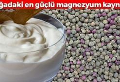 Görünce herkes burun kıvırıyor ama şifa deposu! Yoğurdun içine koyup kaşık kaşık tüketin: Doğadaki en güçlü magnezyum kaynağı