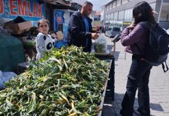 Kilosu 30 TL'den satılıyor! Tek tek elle toplanıyor: Baharın müjdeleyicisi tezgahta yerini aldı