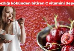 Kahvaltıda kaşıklayıp yiyin! Kilosu 170 TL: Doğadaki en zengin C vitamini deposu, kabızlığın kökünü kazıyor!