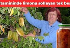 C vitamininde limonu sollayan tek meyve! Tanesi 54 lira: Kalsiyum, magnezyum ve demir zengini! Kolesterolü silip beyni koruyor