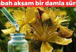 Şifası dünyayı kıskandırıyor! Türklerin göz bebeği: Her sabah ve akşam 1 damla kullanınca basura şifa olup egzamayı bitiriyor!