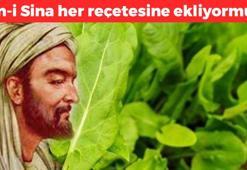 İbn-i Sina her reçetesine ekliyormuş: Yüzyıllardır doğada kendi kendine yetişiyor! Vücuttaki mikropları öldürüp kabızlığı kökten bitiriyor!