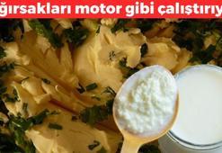 Türklerin sıvı altını! Bağırsakları motor gibi çalıştıran mucize, yoğurda katıp kaşık kaşık yiyin! Kolesterolü de damardan kazıyor