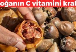 Mevsiminde kilosu 80 TL'den satılıyor! Sonbahar aylarının gözdesi, pazarda kapış kapış gidiyor! Doğanın C vitamini kralı olarak biliniyor
