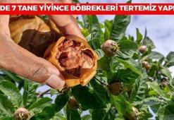 7'den 70'e şifa kaynağı! Günde 7 adet yiyince böbrekleri tamamen temizliyor