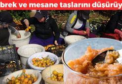 Mersin'in sarı altını, yurt dışından kilo kilo sipariş ediliyor! Birinci kalitesi 40TL, böbrek ve mesane taşlarını düşürüyor, dünyanın en güçlü antioksidan deposu