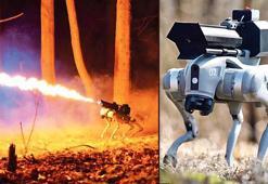 Tıpkı bir ejderha gibi! Ateş püskürten robot