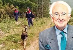 Kadavra köpekler iz peşinde