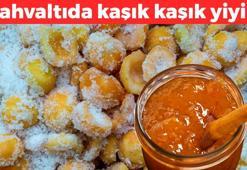 Kahvaltıda kaşık kaşık yiyin! Kilosu 180 TL: Kabızlığı bitirip vücudu demire, C vitaminine ve kalsiyuma boğuyor!