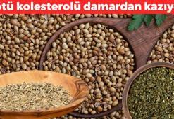 Osmanlı'nın gizli şifa ambarı! Kandaki kötü kolesterolü damardan kazıyor, demir, çinko, potasyum ne varsa vücuda yüklüyor! Kuru kuru öksürüğün de kesin çözümü ondaymış