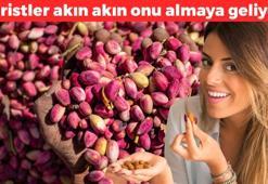 Turistler akın akın onu almaya geliyor! Kilosu 500 TL'den satılıyor: Proteinde etle yarışıyor, tıkalı damarları tek seferde açıp magnezyum, fosfor, potasyum yüklüyor!