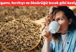 Ciğerdeki balgamı, hırıltıyı ve öksürüğü bıçak gibi kesiyor! Her gün 1 bardak içince iltihabın kökünü kurutuyor!