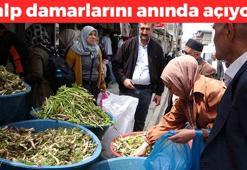 Van'dan dünyaya kapış kapış satılıyor! Yılda sadece 40 gün yetişen mucize: Kalp damarlarını anında açıp şekeri dengeliyor! Kolesterolü bitiren de oymuş