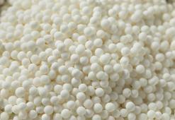 Dünyada sadece Çeşme ve Yunanistan'da çıkıyor! Halk arasında ona 'Mastika' diyorlar: Ekonomik değeri çok yüksek...