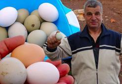 Bu yumurtanın tanesi 20 TL! Taleplere yetişemiyor, kapış kapış satıyor: Beyaz yumurtadan daha faydalıymış