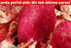 Pazarda, tezgahta kapış kapış satılıyor! Kuran-ı Kerim'de adı 3 kez geçen bu meyve resmen şifa deposu