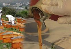 Sağlıklı diye yiyoruz ama sahtesi resmen organları zehirliyor! 300 TL'nin altında satılıyorsa almayın: Şekeri tavan yaptırıyor