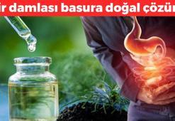 Osmancık'ta 200 yıldır özel üretiliyor! Sabah akşam bir damlası basura doğal çözüm! Kalbin dostu, dünyanın en güçlü antioksidanı