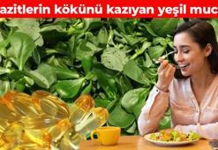 Balıktan 20 kat daha fazla Omega-3 içeriyor: C vitamini deposu, kolesterolü düşürüp bakterileri yok ediyor! Sofrada buna yer açmayan pişman oluyor