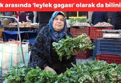 Yol kenarında bile yetişiyor, halk arasında 'leylek gagası' adıyla biliniyor! Hırıltı, öksürük ve balgamı bıçak gibi kesiyor, iltihabın kökünü kurutuyor!