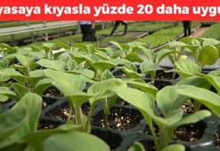 Kapış kapış satılıyor! Piyasaya kıyasla yüzde 20 daha uygun fiyatlı, demir ve d vitamini depolarını fullüyor!