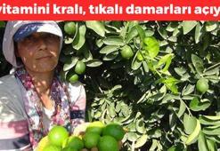 Japonlar kapış kapış alıyor! Kilosu 125 TL'den satılıyor: C vitamini kralı, cayır cayır kilo verdirip tıkalı damarları açıyor!