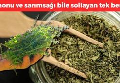 1 damlası bile akciğerleri tertemiz yapıyor! Limonu ve sarımsağı sollayan tek besin, kalp krizi riskini sıfırlıyor!